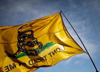 La Bandera de Gadsden